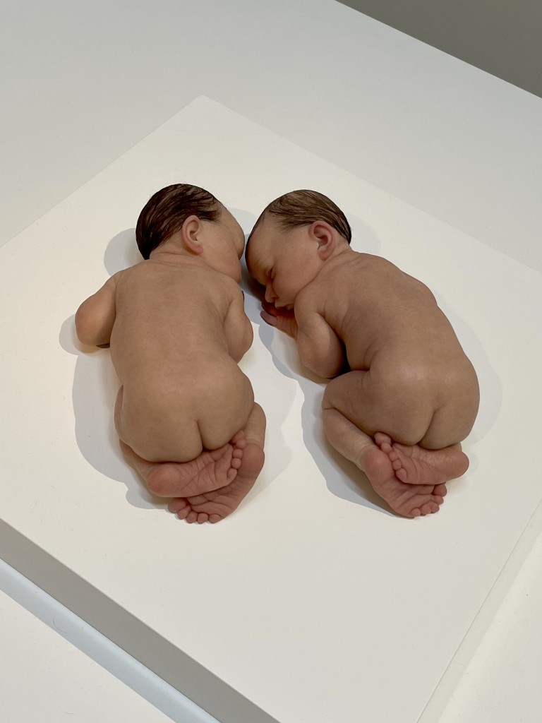 © Sam Jinks, Sans titre (Babies), 2013, silicone, pigments, résine, cheveux naturels, 36 x 36 x 18 cm. Courtesy de l’artiste et Sullivan+Strumpf - Photo : Le Curieux Nazairien